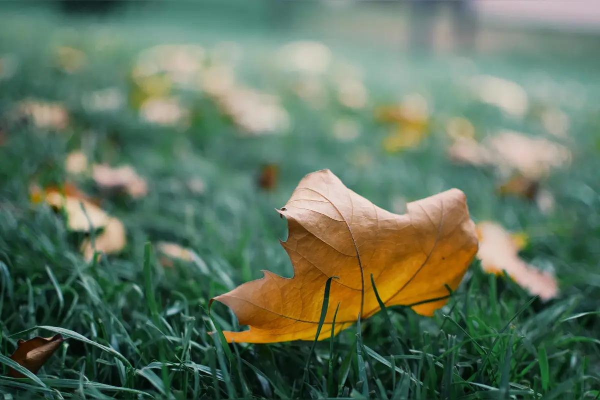 太讨厌听到喊演员"老师"了，还有演员中互喊"老师"，尤其是20来岁出头的流量演员