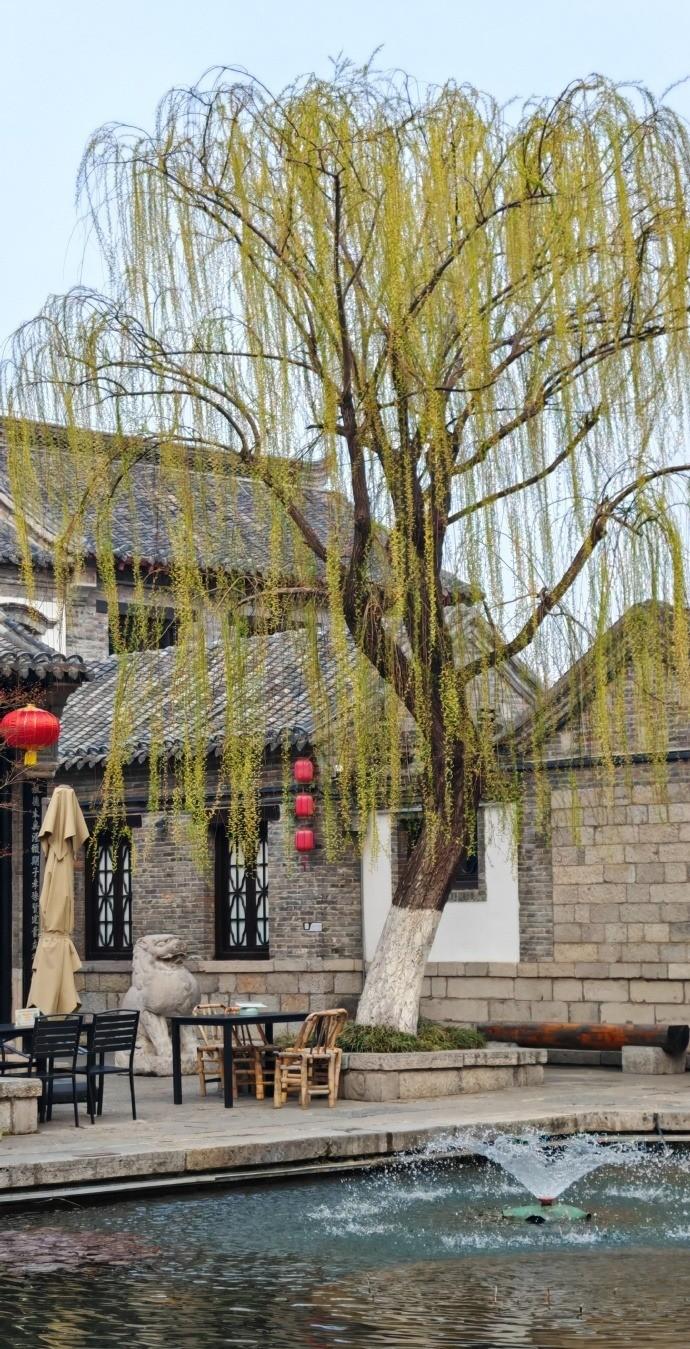 春日里在老城区慢悠悠地逛，才算真正读懂了“家家泉水、户户垂柳”的意境。泉水咕嘟咕