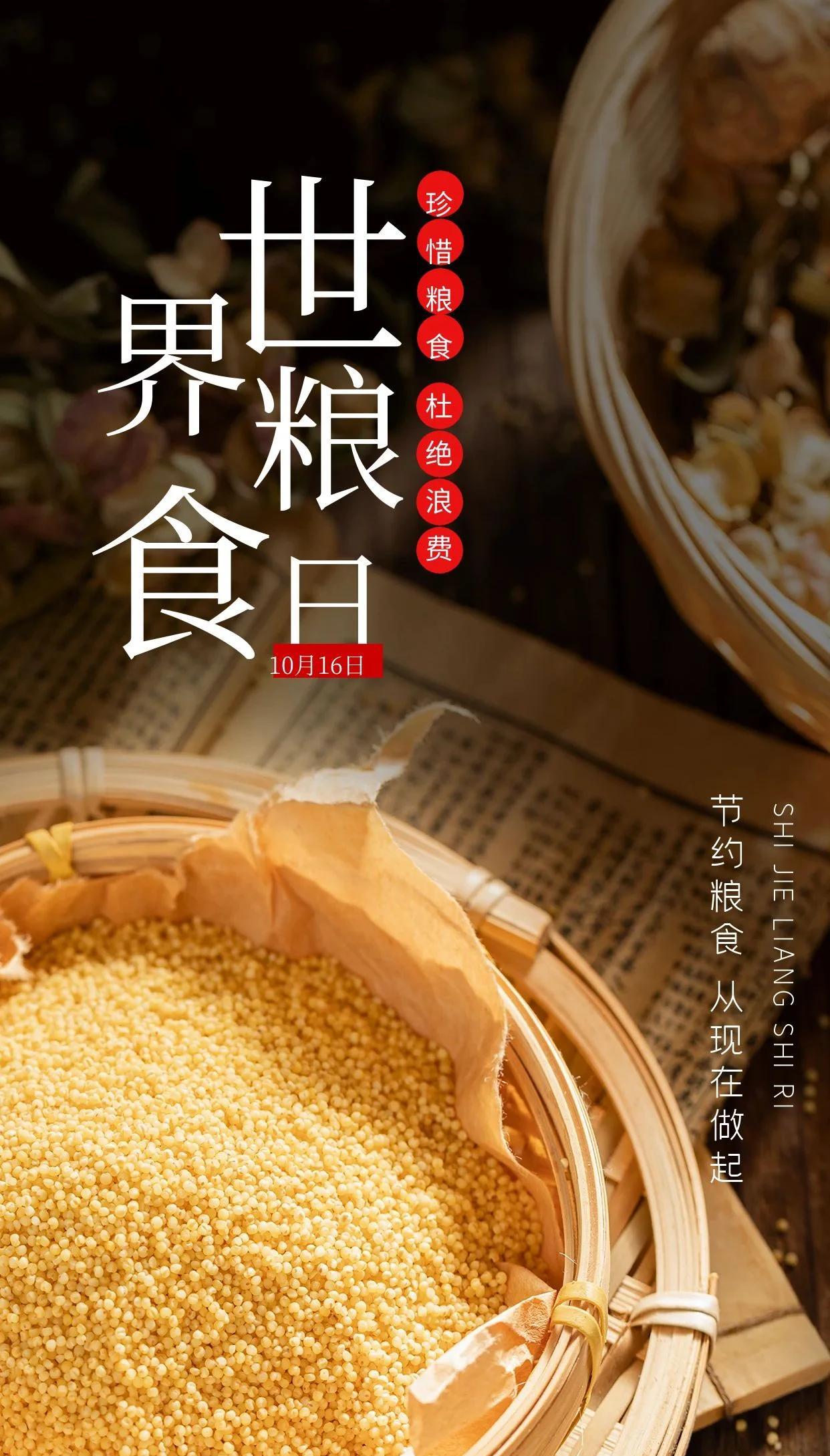 10月16日，世界粮食日。 当我们再次将目光投向这片滋养我们的土地，心中涌起的是