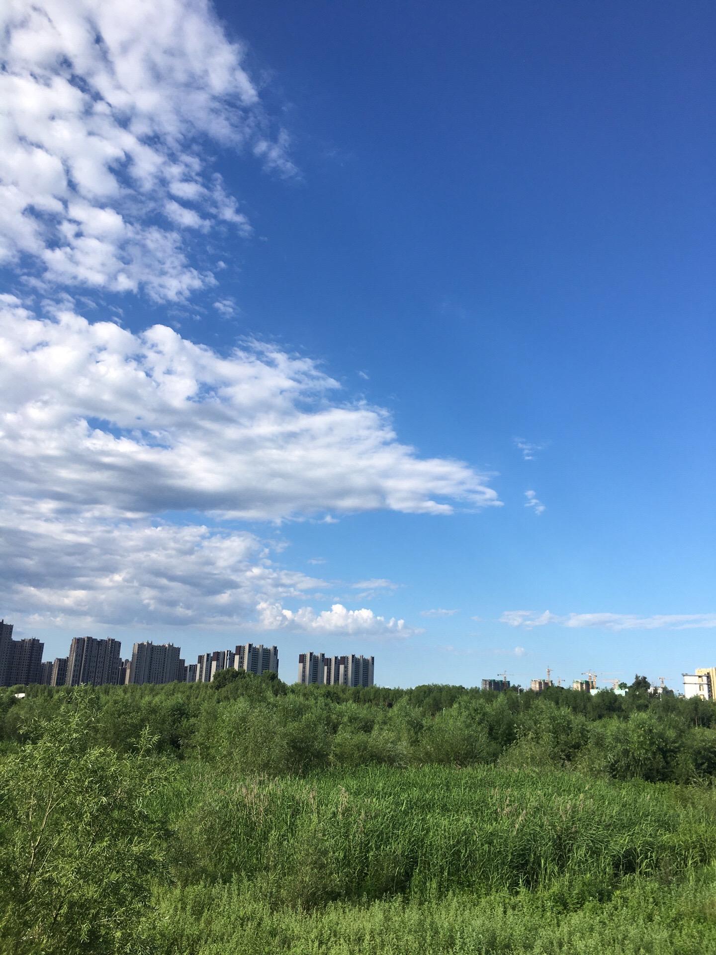 天晴。