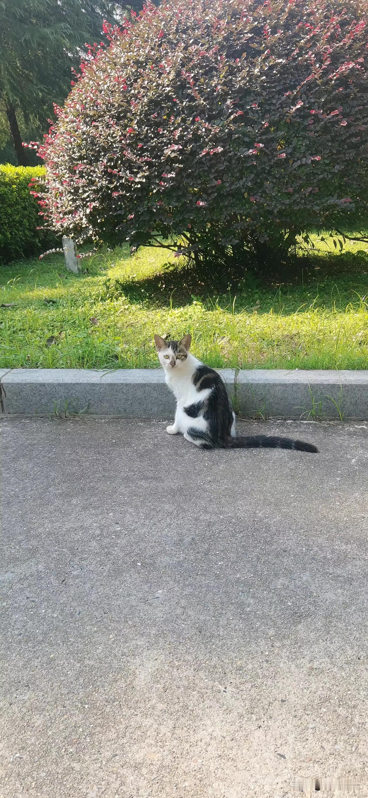 生活不一定很酷，但一定要全力以赴。
这世上有一种成功叫做，用自己喜欢的方式过一生