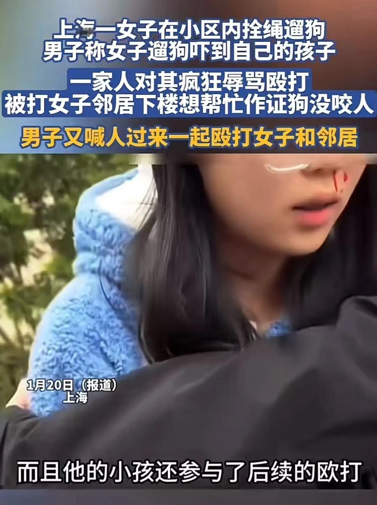 “又是一只狗惹的祸！”这句话仿佛成了许多城市角落里无声的叹息。上海，一个繁忙又充