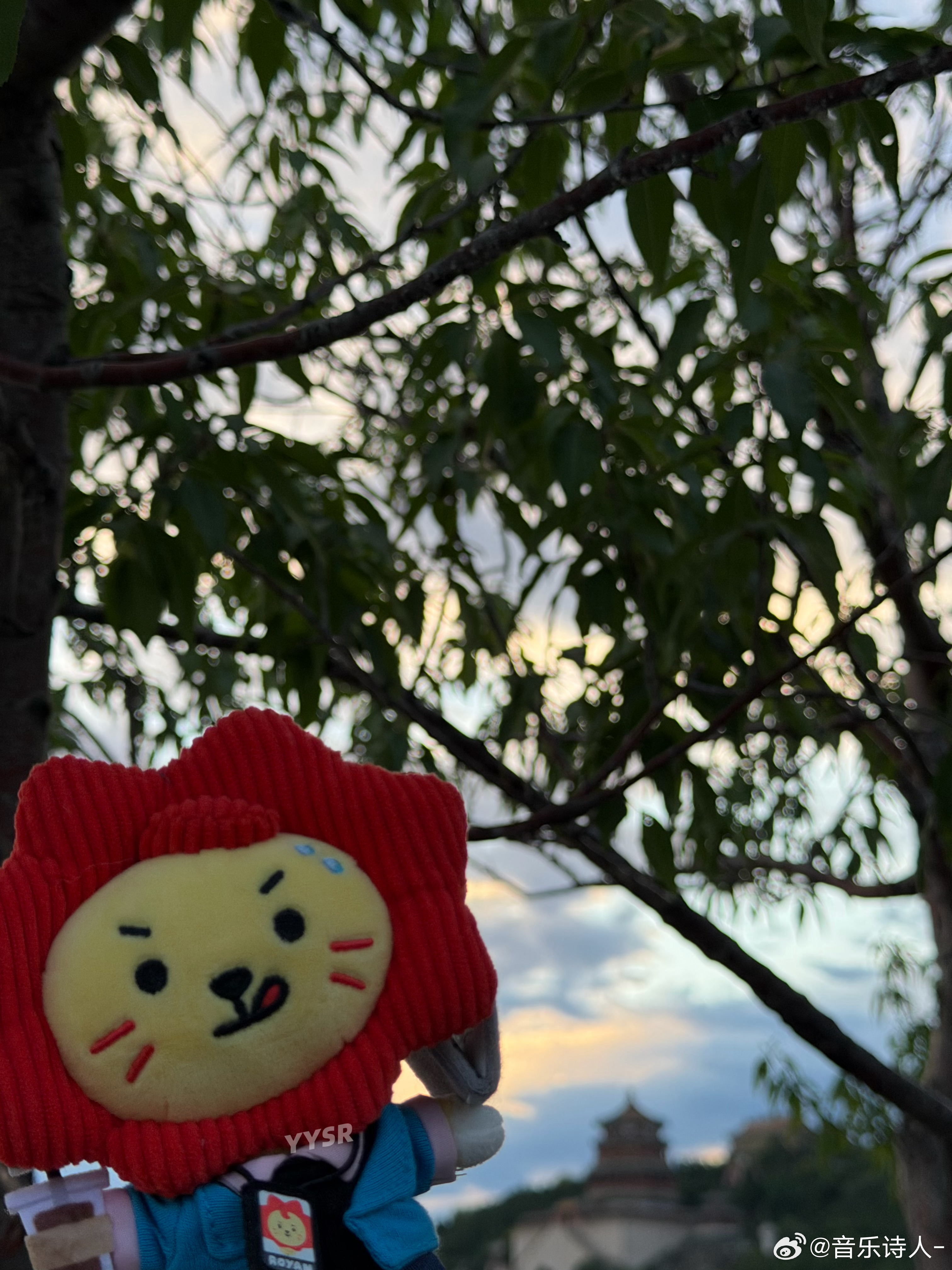 带娃游园 