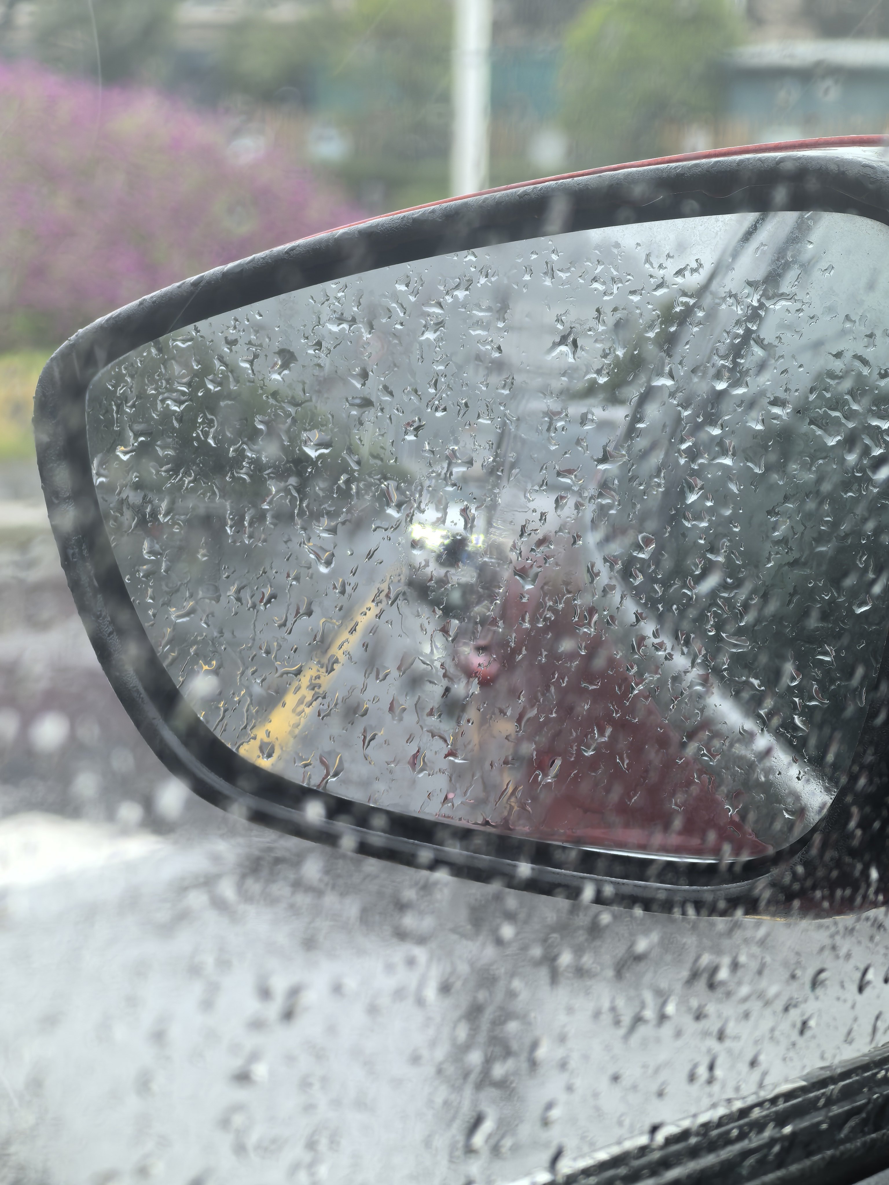 突然也挺喜欢雨天的氛围感 