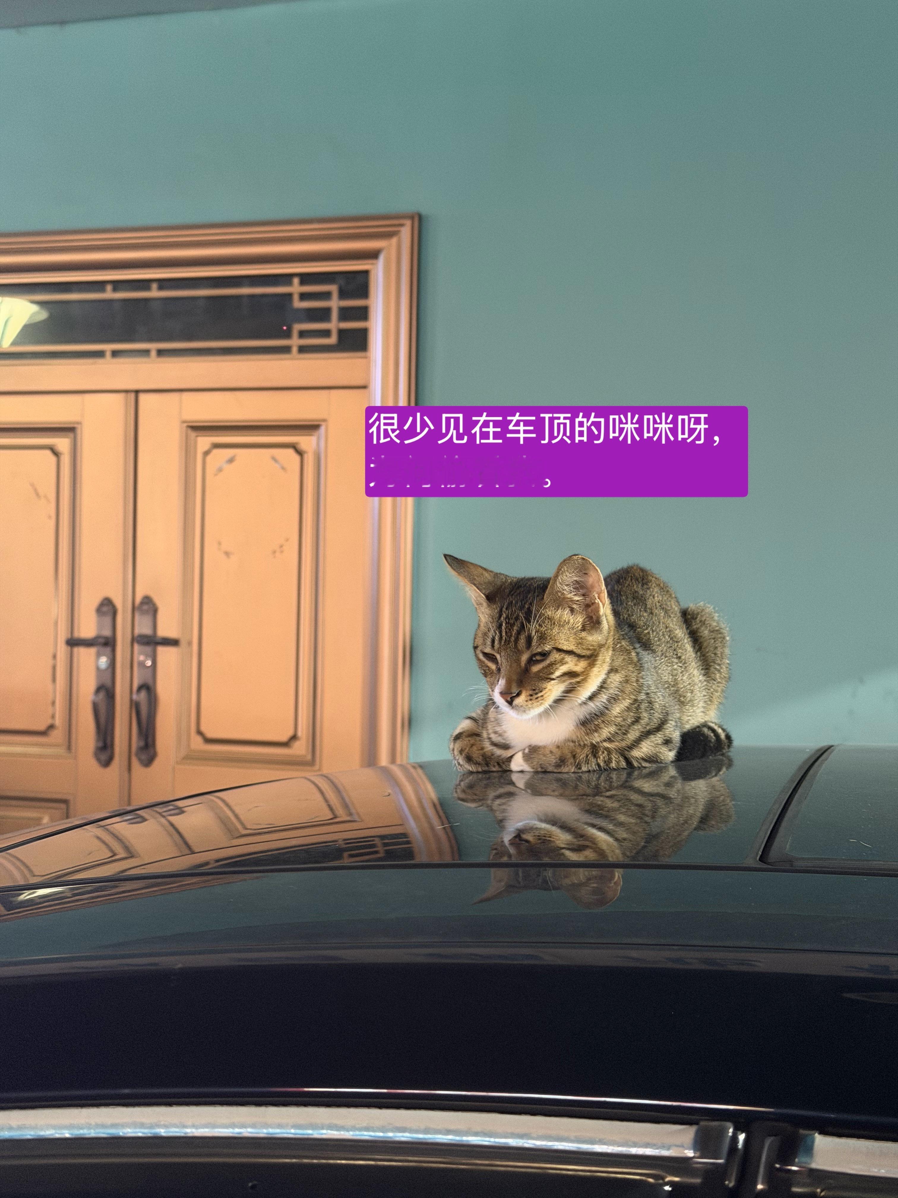 快速过一下 最了个近1. 近两天感悟较少，因为都在剪视频和对接商务，还有人记得巴