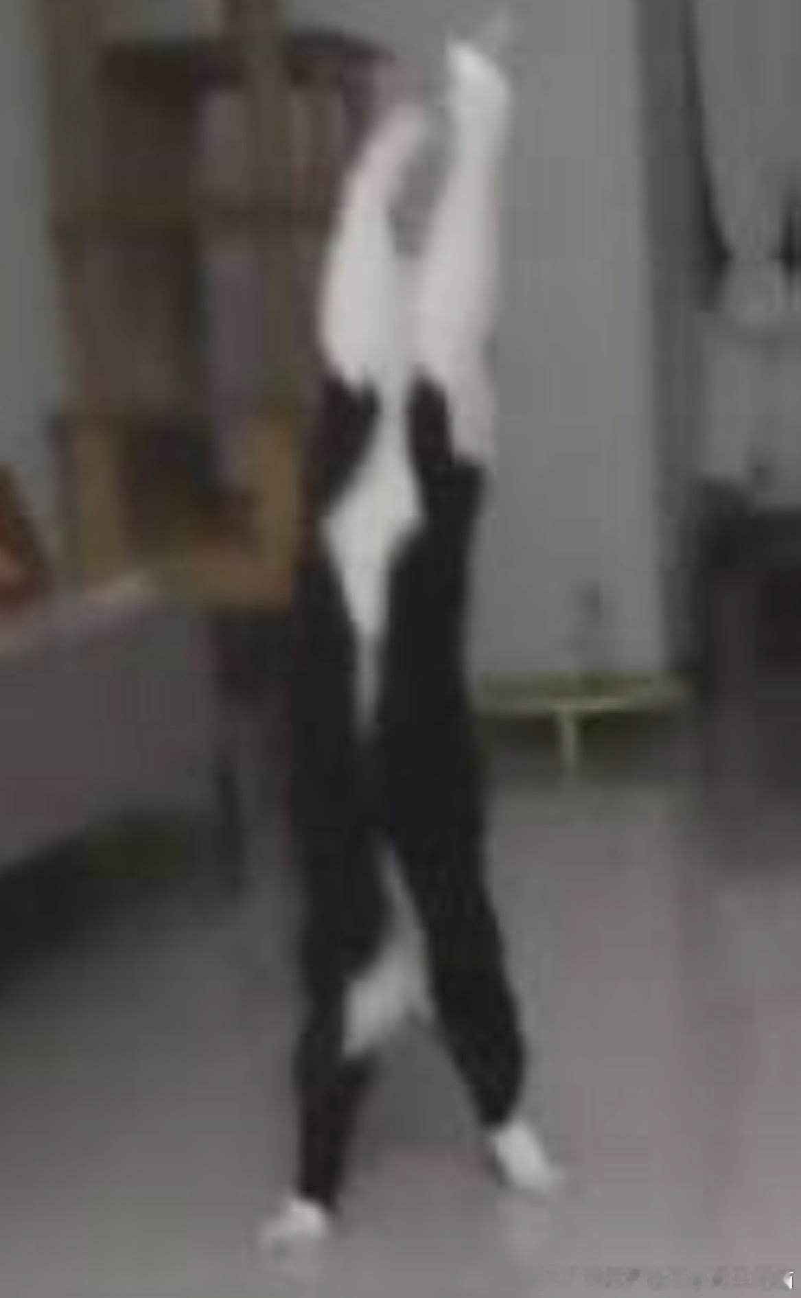 49766【丑猫】瘦长鬼影 