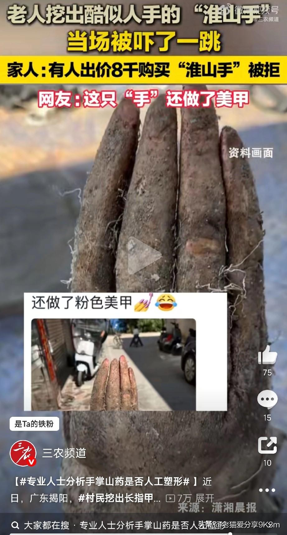 手掌山药是天然的还是人工的
 
广东揭阳惊现“五指山药”，根根“指甲盖”清晰，像