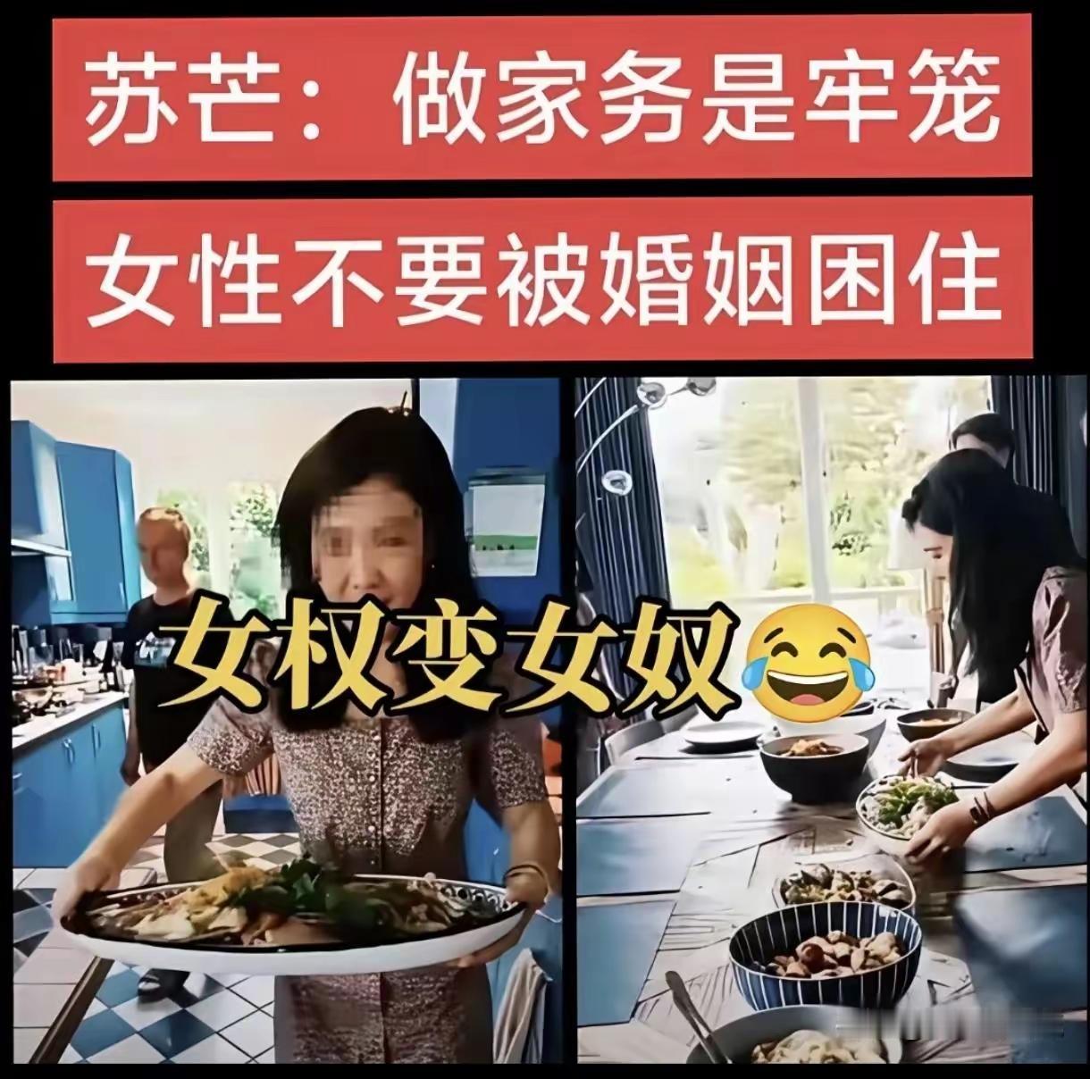法兰西女仆，广汽代言人。法国一大家子开销大，女仆要养活她们，供养他们，所以要出来