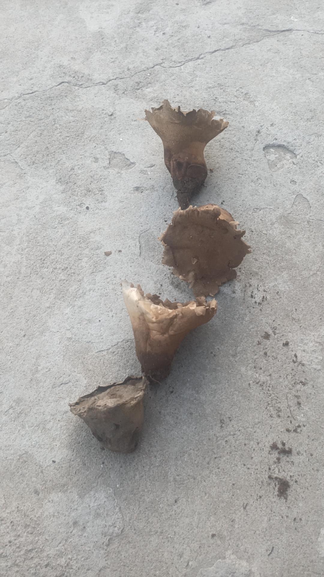 我认为该。男人是家庭重要的成员，应该担负起做家务的责任。但是不能全部负责，应该部