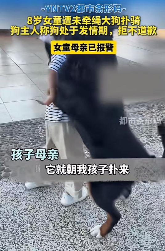 “这种狗主人比狗还要狗……”云南玉溪，8岁女童在路上玩，突然一只“发情”的大狗扑