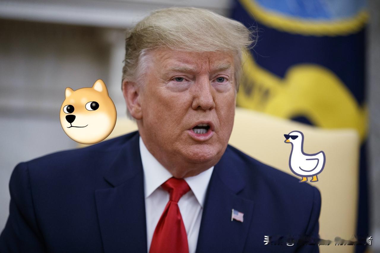 刚刚发生！

特朗普宣布了
 
2025年11月7日，美国总统特朗普预计将与制药