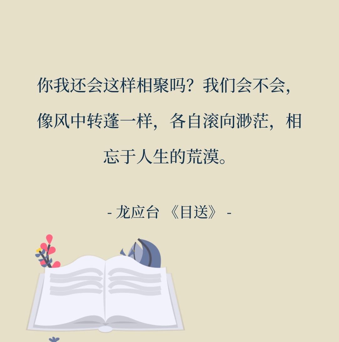 公开资料显示，龙应台十多年没有回过祖国大陆了，似乎正在“滚向渺茫”。我想，肯定不