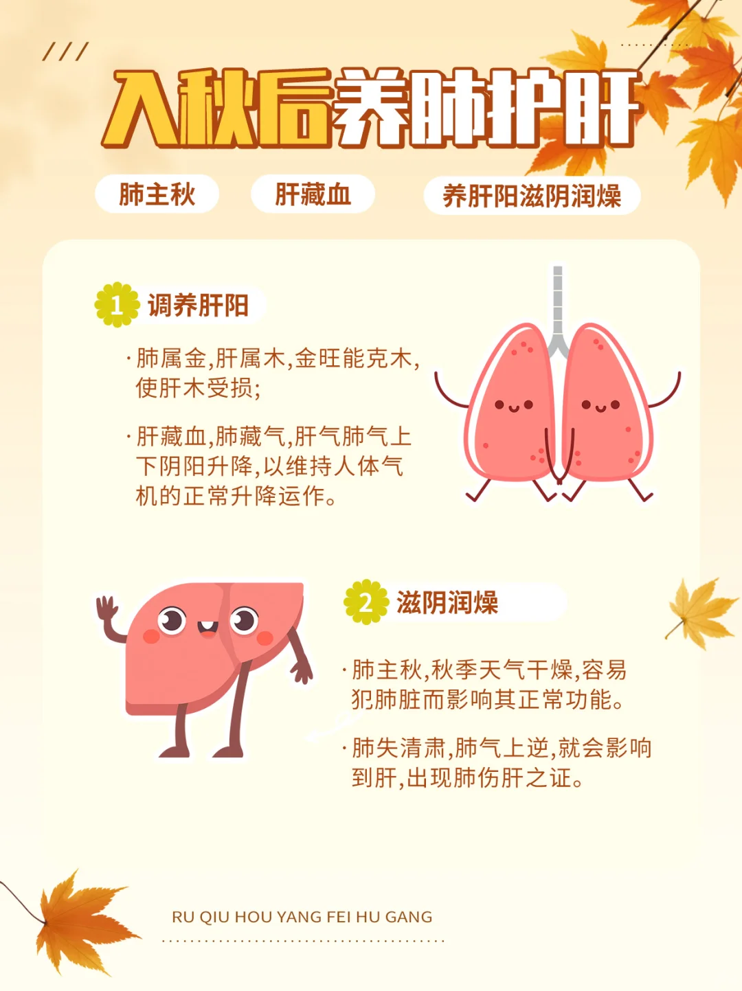 入秋后宣养肺护肝、三怕二调要记好