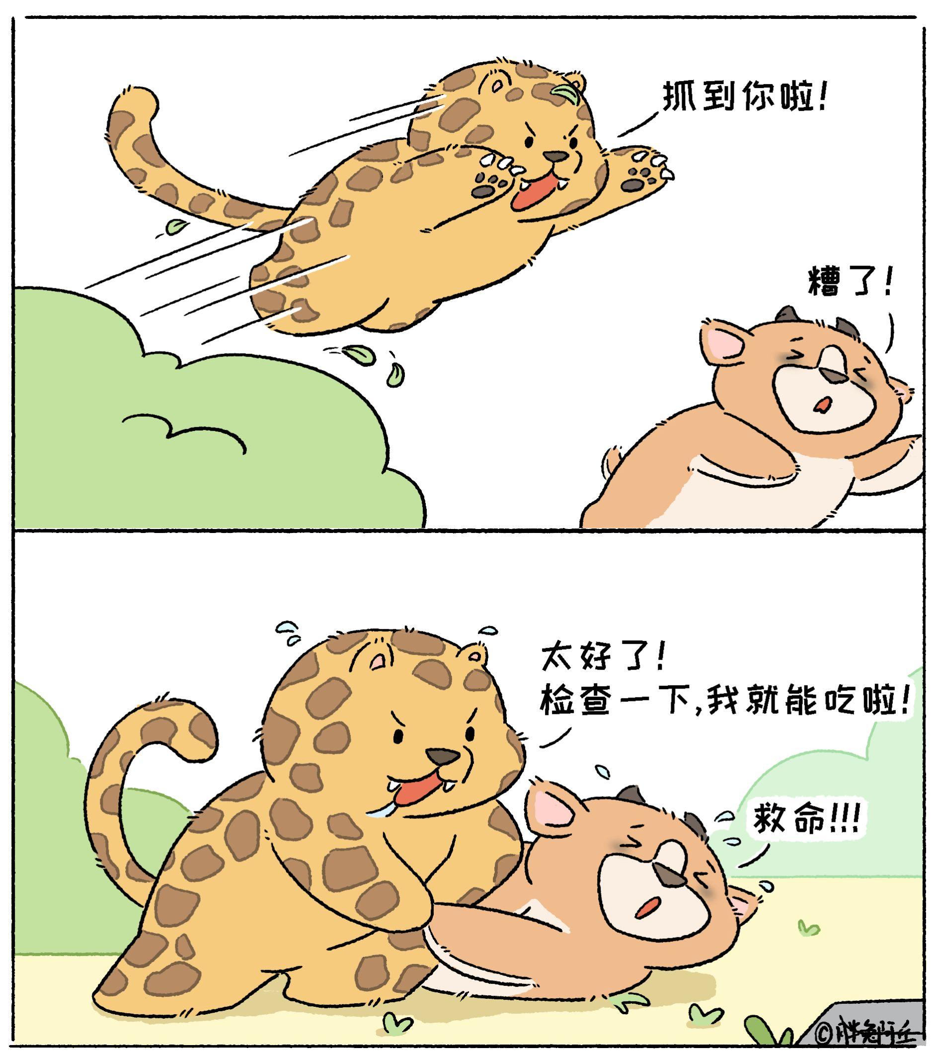 万万没想到  动物的迷惑行为 搞笑 内容过于真实
