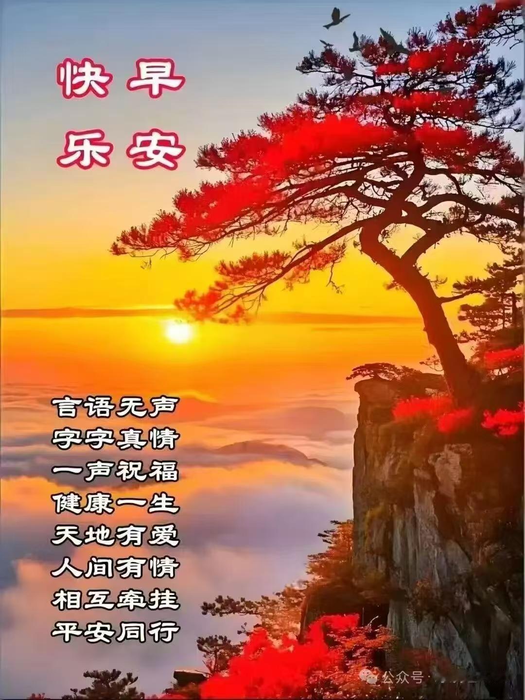 五律《日常寄怀》
 
逐乐寻清趣，
持身守素康。
朝来常问讯，
共沐暖晴光。
年