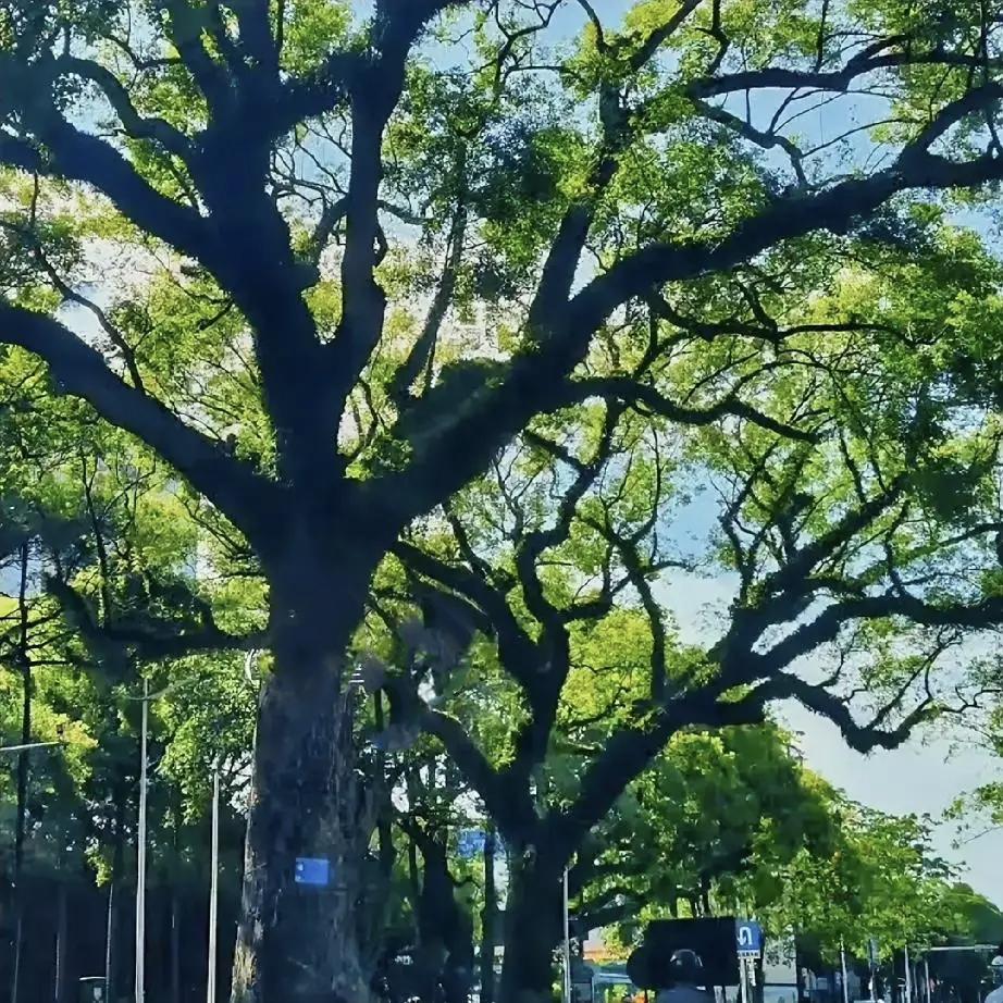 很多人半生困顿，不是不够努力，而是被原生环境悄悄困住了手脚。

一位商海沉浮半生