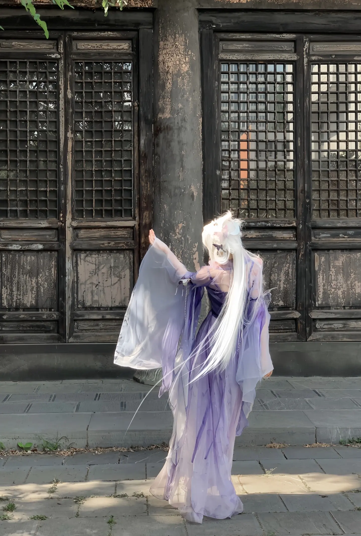 “华生虚困，岁尾梦蝶”