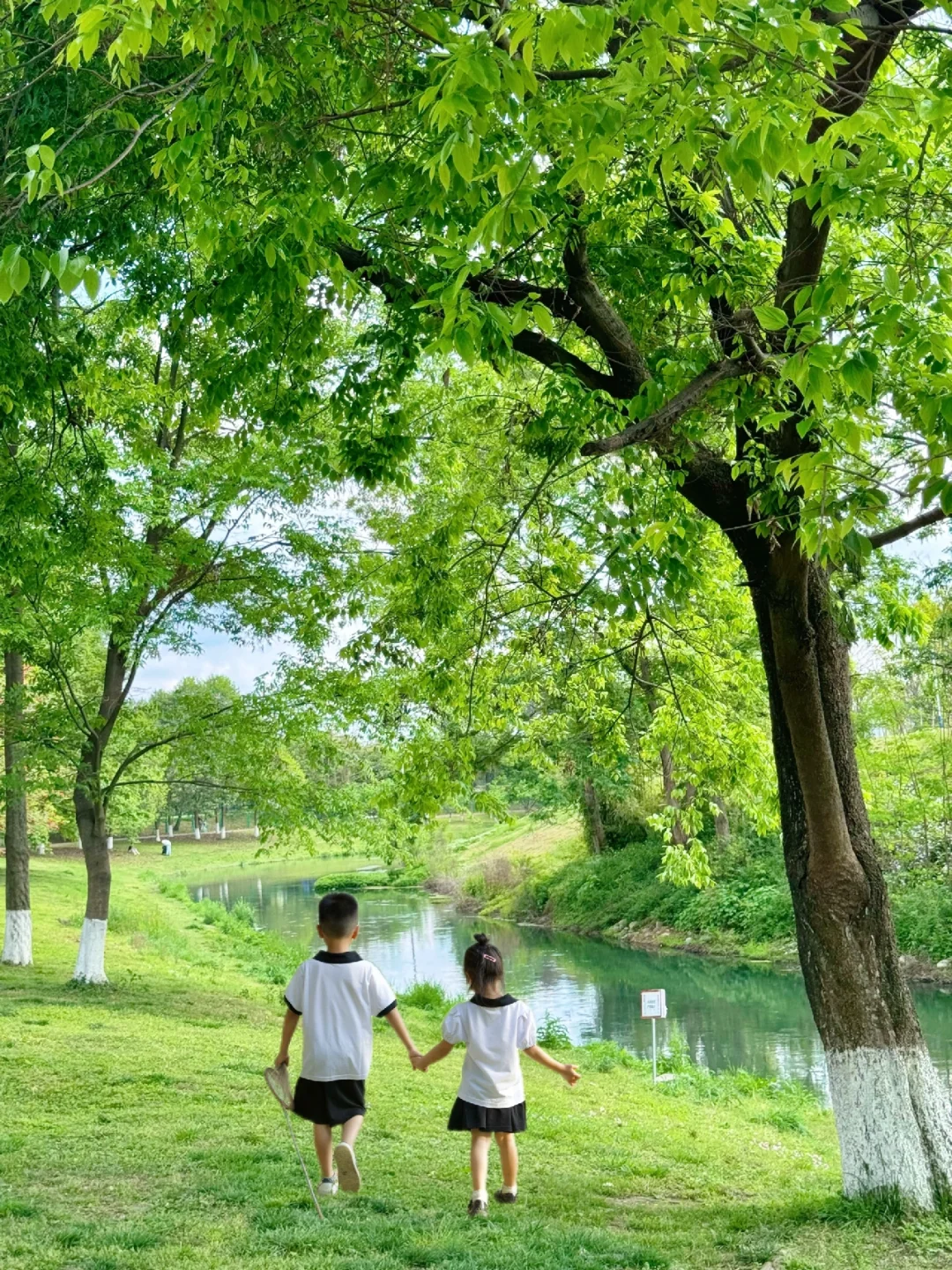 成都周边0.5h⛺️｜免费露营野餐、捉鱼🐟网虾~