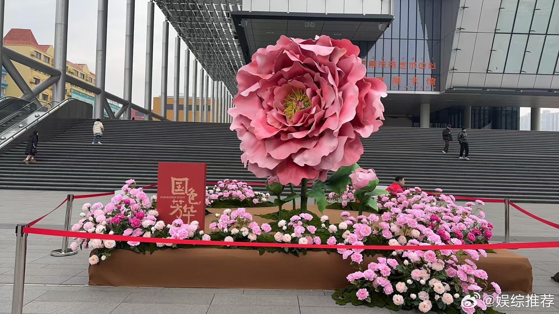 国色芳华播出排面  国色芳华开播直播  《国色芳华》在芒果台的开播排面真是太豪华