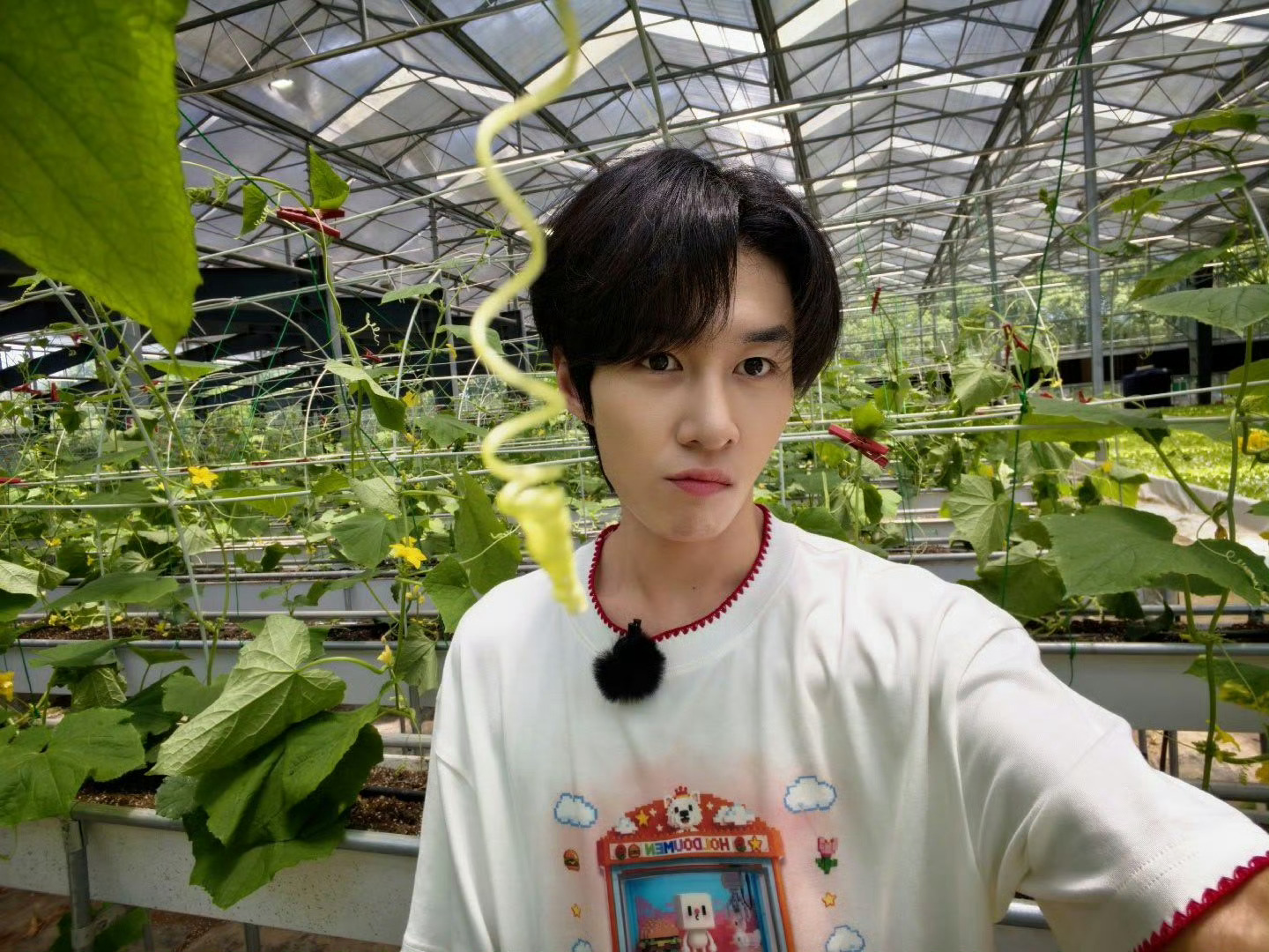 卓沅0616生日快乐 💜 卓沅廿七千帆顺 百瑞昭鸿图 我觉得世界上所有的褒义词