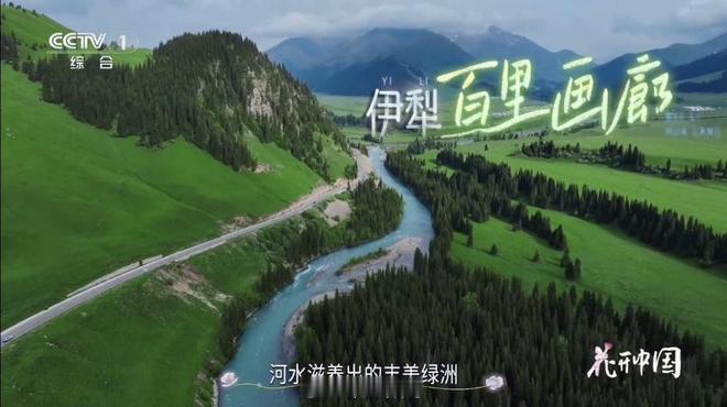 国庆没抢到去新疆的票，本想看看综艺解解馋，结果我竟然被国产黑科技圈粉了！我在央视