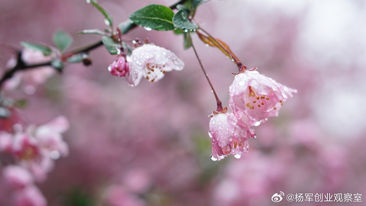 并购尽调中的“人”事雷区：劳动合规是沉默的引爆点在投资并购中，劳动人事尽调常被轻