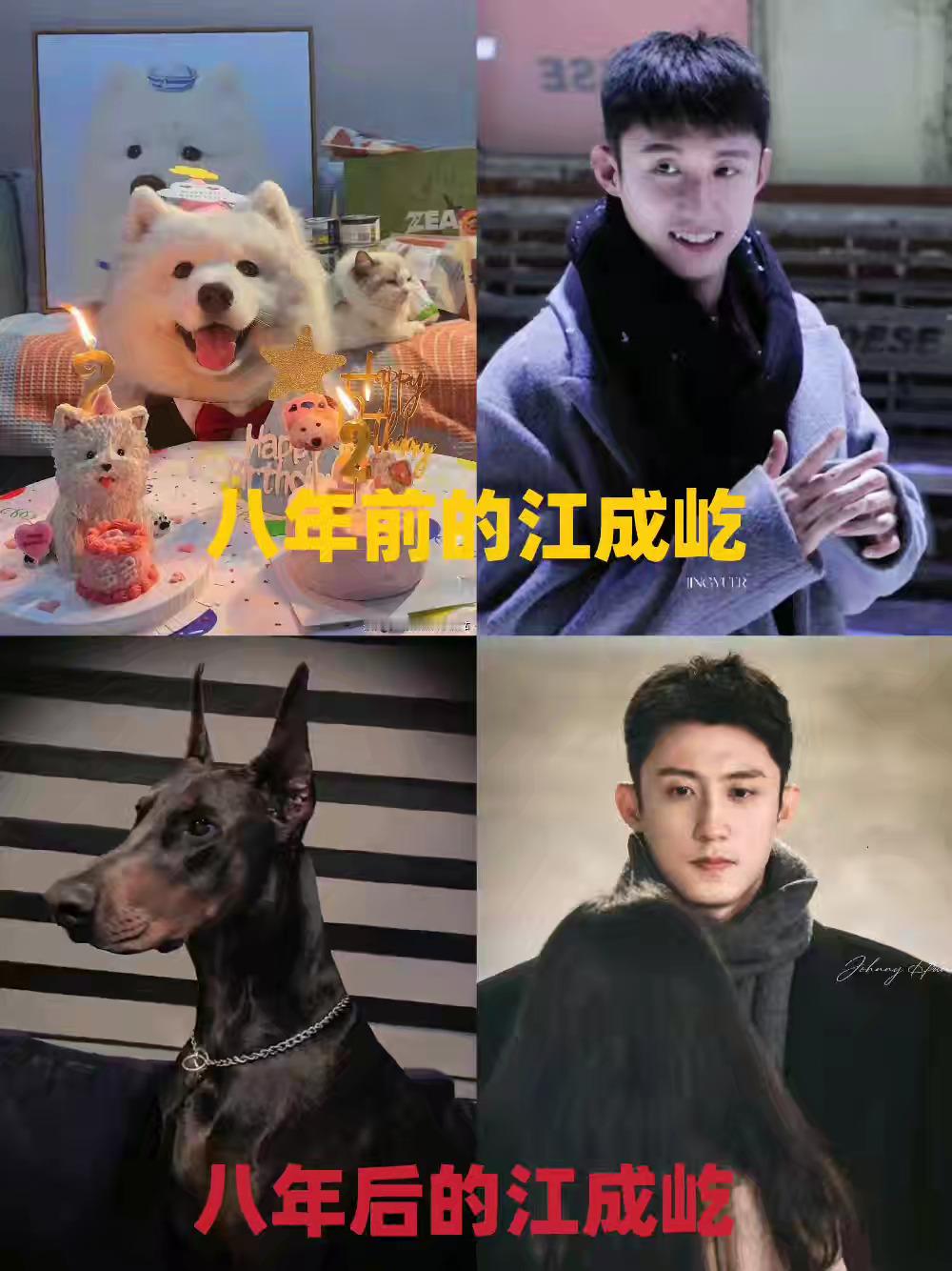 啊哈哈哈我可太喜欢江成屹怼情敌的样子一怼一个准晚安咯😊