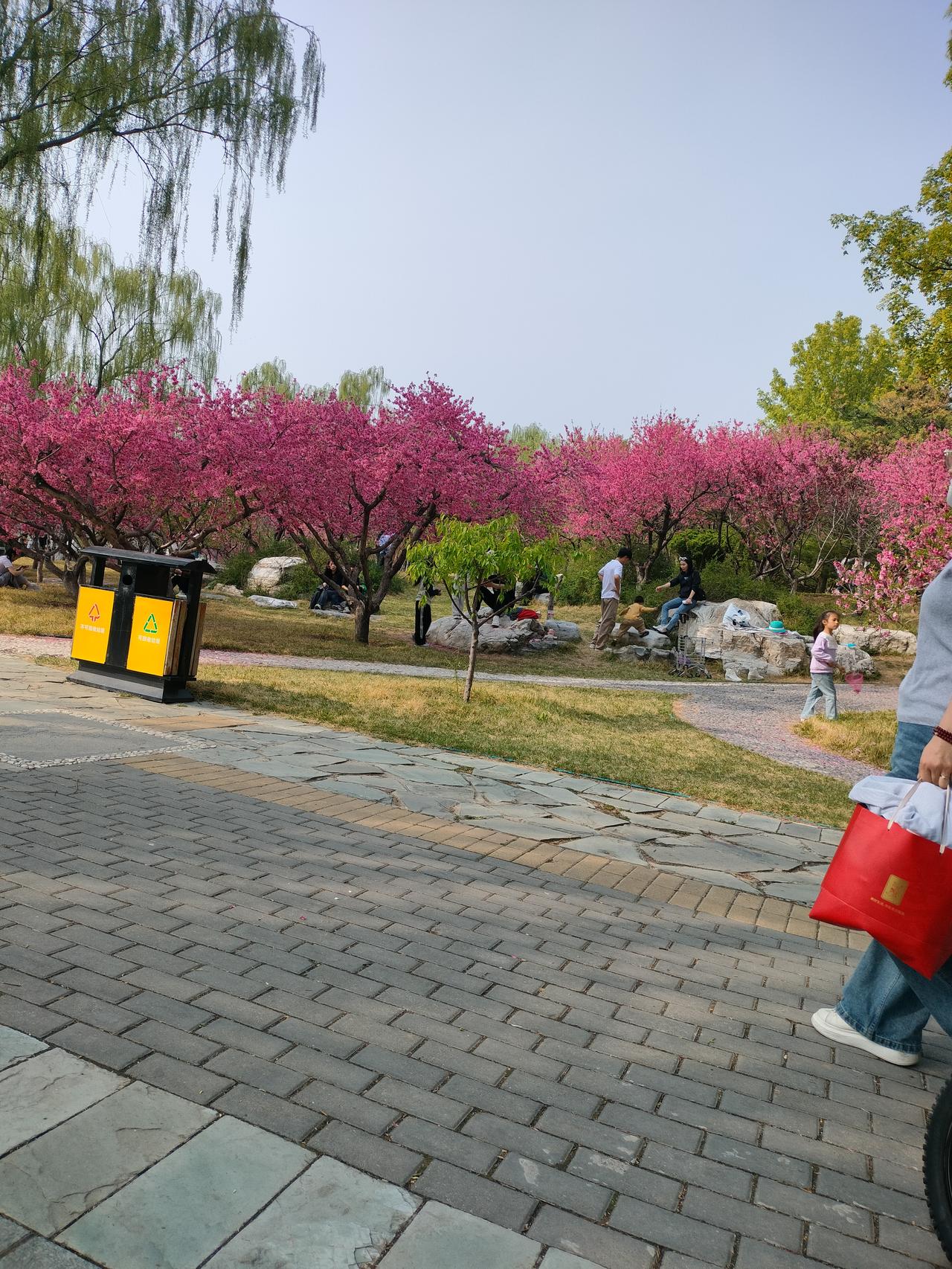 我认为轮流请客。我们年轻的时候，都是轮流请客，那时候也没有AA制。
作为朋友，大
