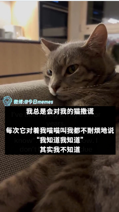 敷衍（9gag）今日meme[超话] 今日memes ​​​