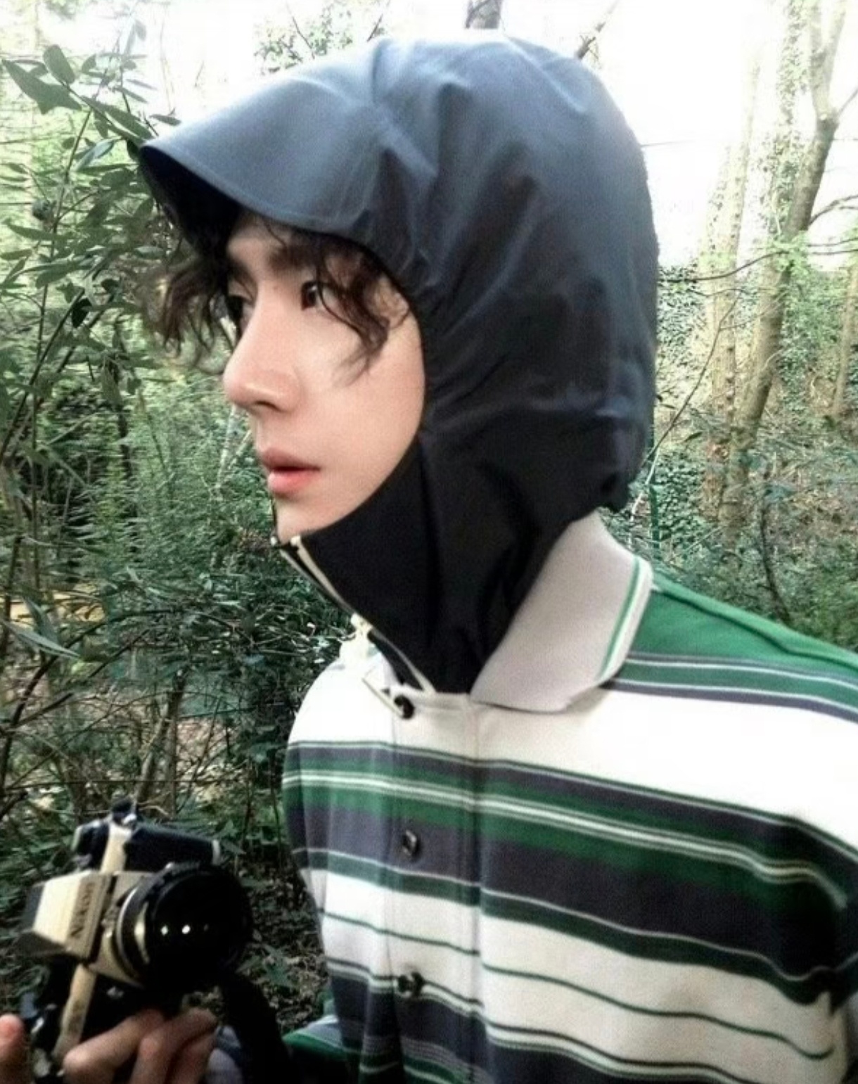 这张好适合当头像