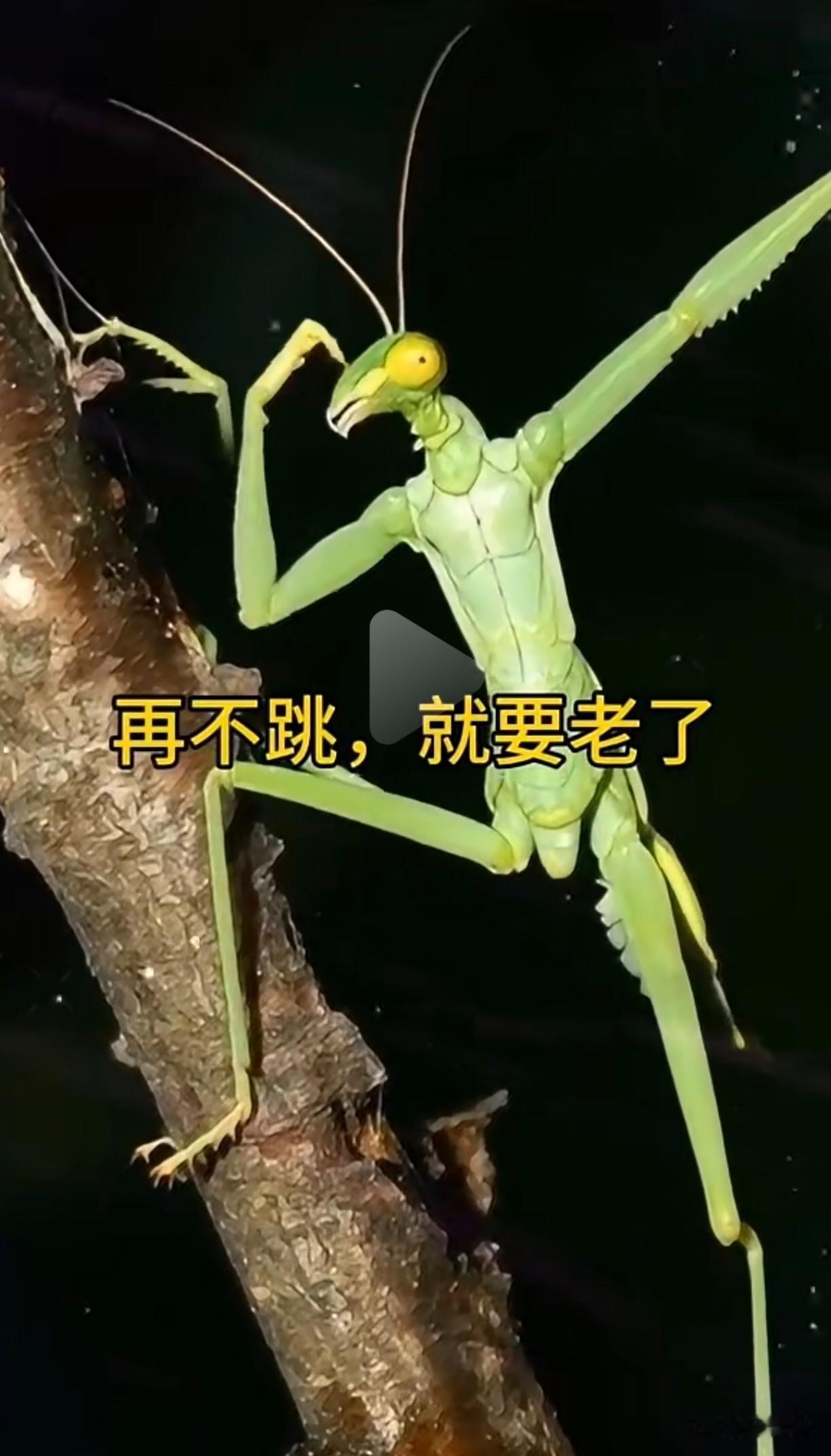 它见证了好多家庭聚会时的欢声笑语，每次家庭合影，它都稳稳当当记录下那些温馨瞬间；