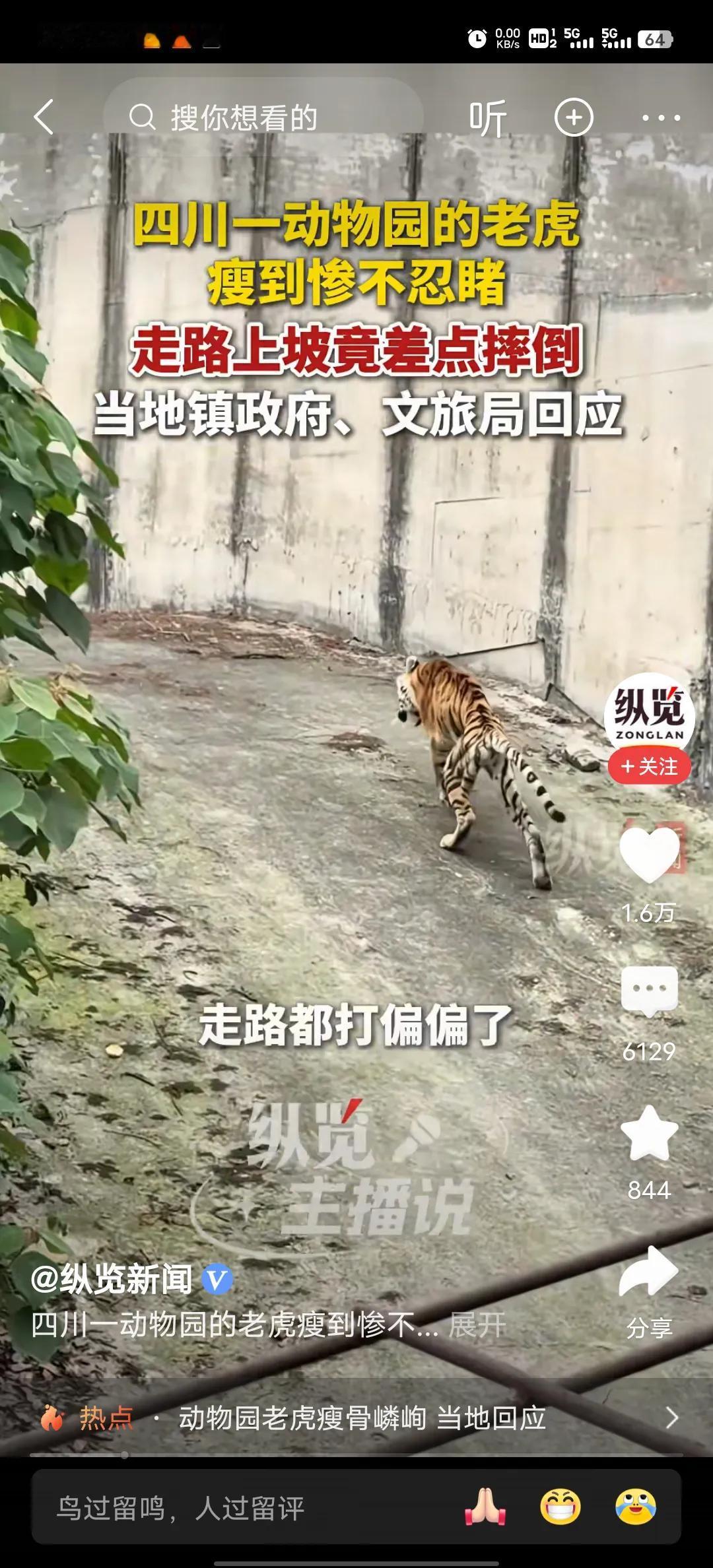 老虎都瘦了，伙食也克扣，真是服气了。