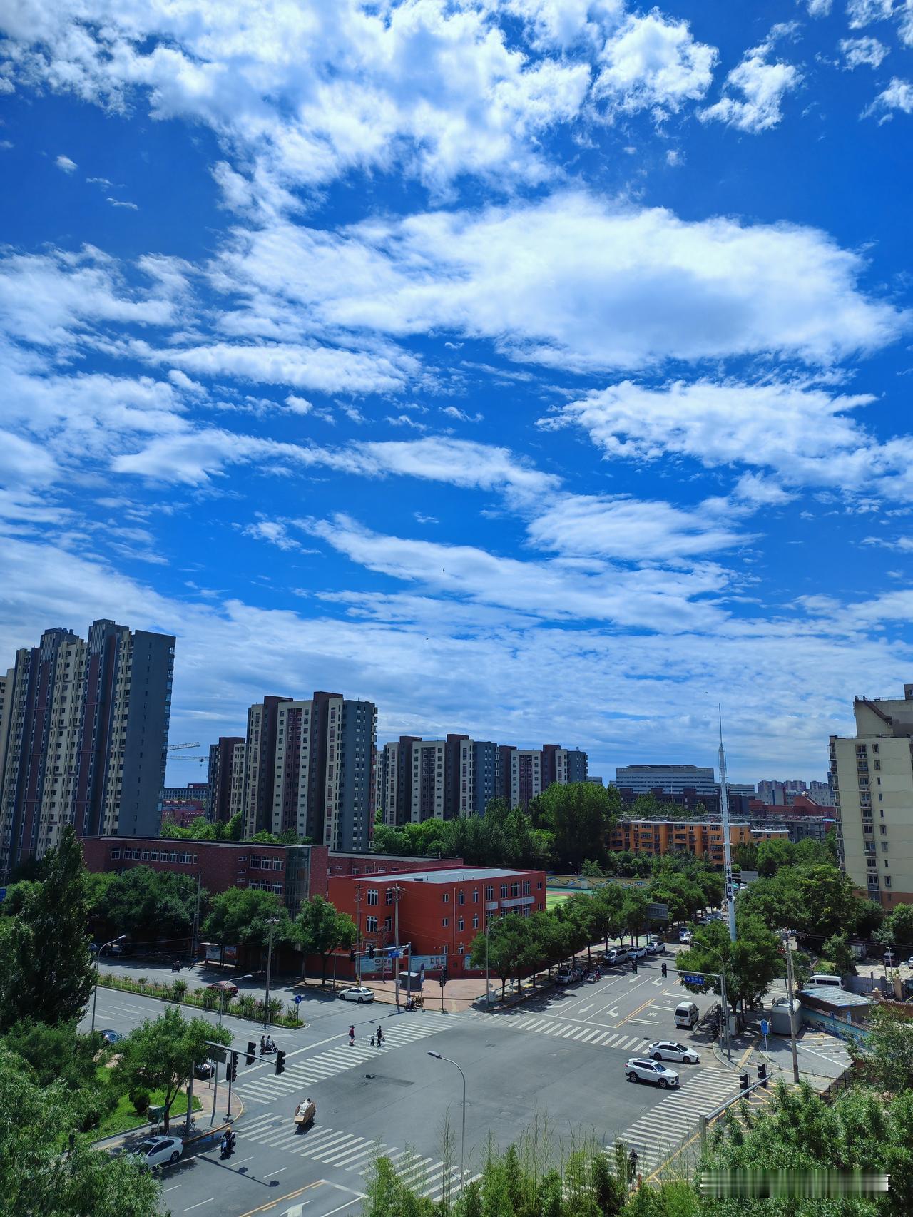 夏日生活打卡季