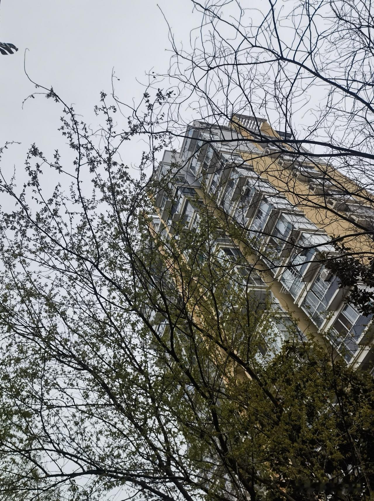 偶遇故人
因为外出购物，在一家超市里我意外地遇到了一位故人一一尚姐。是她先发现了