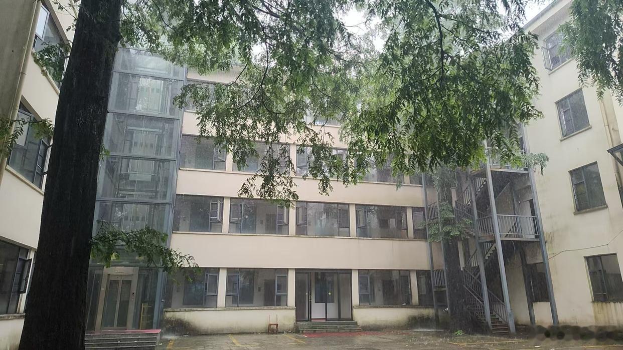 端午节男子陪父母参加“248元三天两晚老年团”：做好“被宰”的准备，体验感竟还可