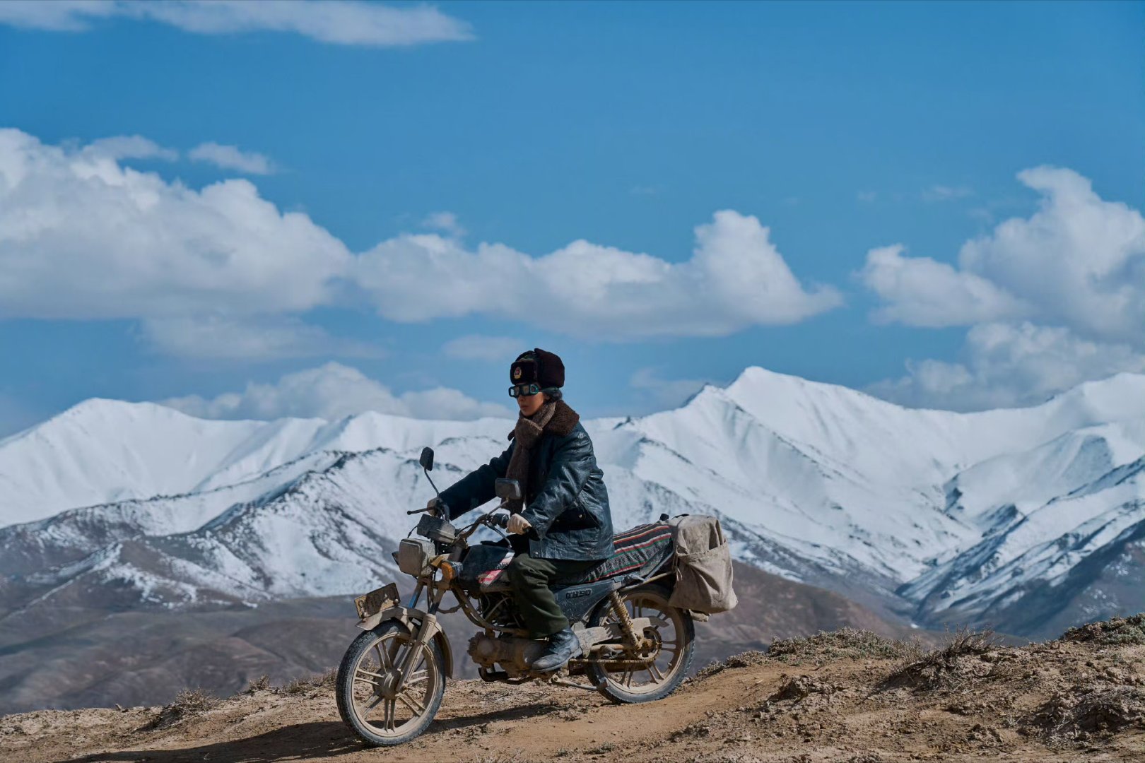 喜报📢：生命树杨紫白菊开播首日V榜角色指数破9登顶9.02 