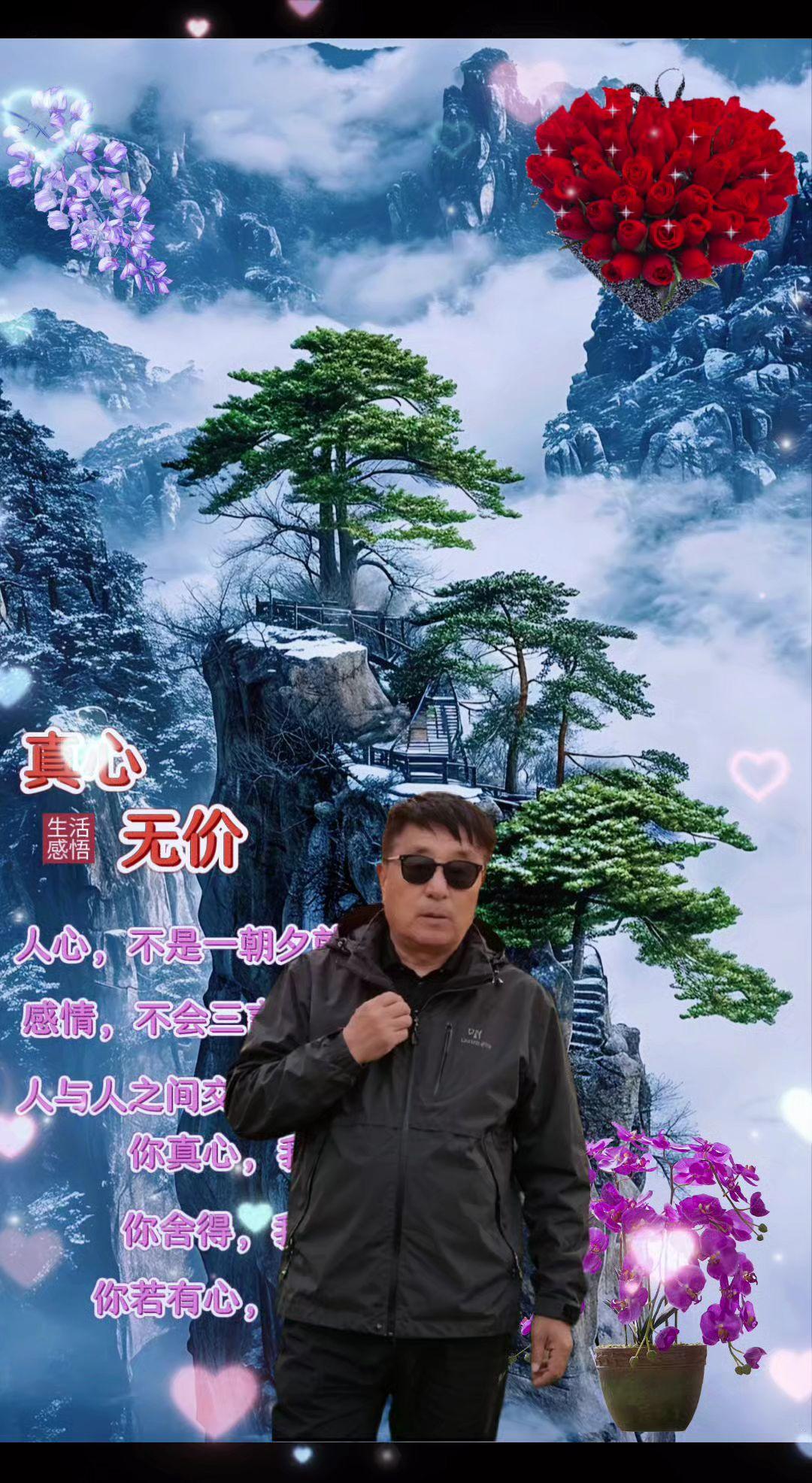 云海奇松 云雾奇松 迎客奇松 绝壁奇松 仙境云海自然奇观