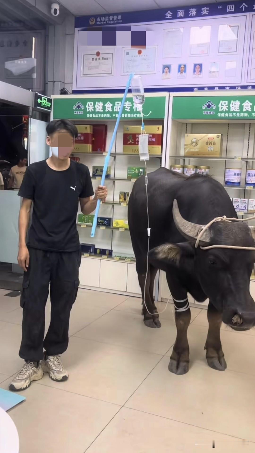 我感冒一般都是硬抗的，这皮糙肉厚的倒还打起点滴来了