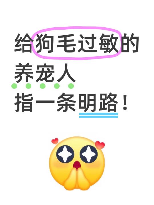 为狗毛过敏的养宠人指一条明路吧！！