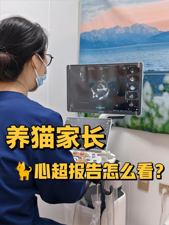 肥厚性心肌病？教你快速看懂猫咪心超报告！