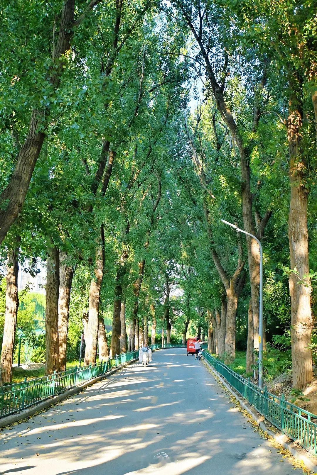 人性铁律八条：

1.没有人管你的死活，除了父母。
2.所有人都在撒谎、表演。