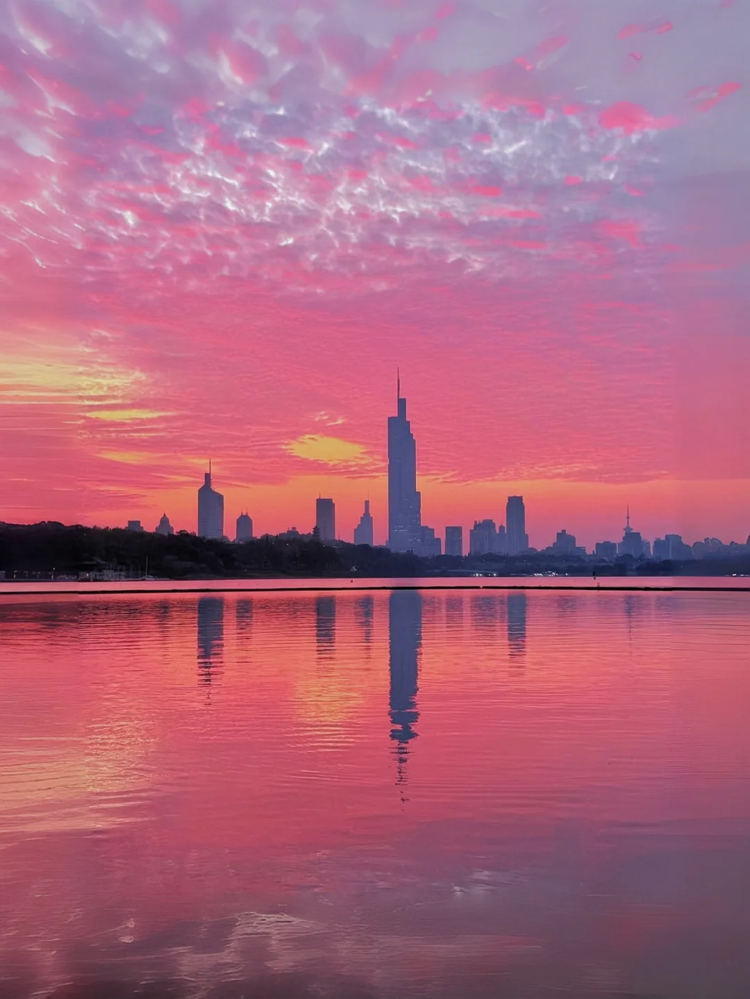 ‼️11.4实拍南京玄武湖世纪大烧绝了