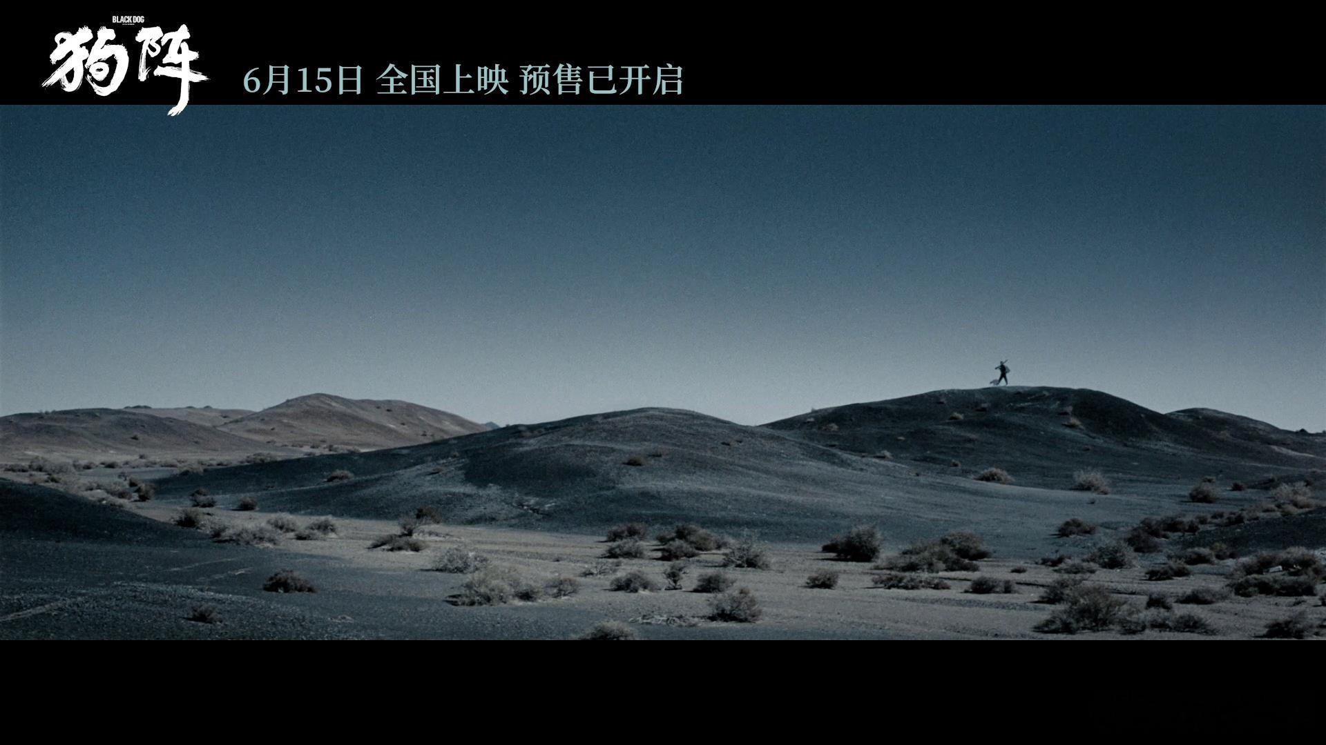 #电影狗阵今日上映# 终于等到这一天！“华狗之光”小辛和彭于晏携手出演，这场大银
