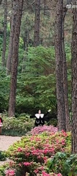 陈都灵跳误闯天家清冷系天花板陈都灵也来闯小游戏了！变身迷你像素小人之后反差感直接