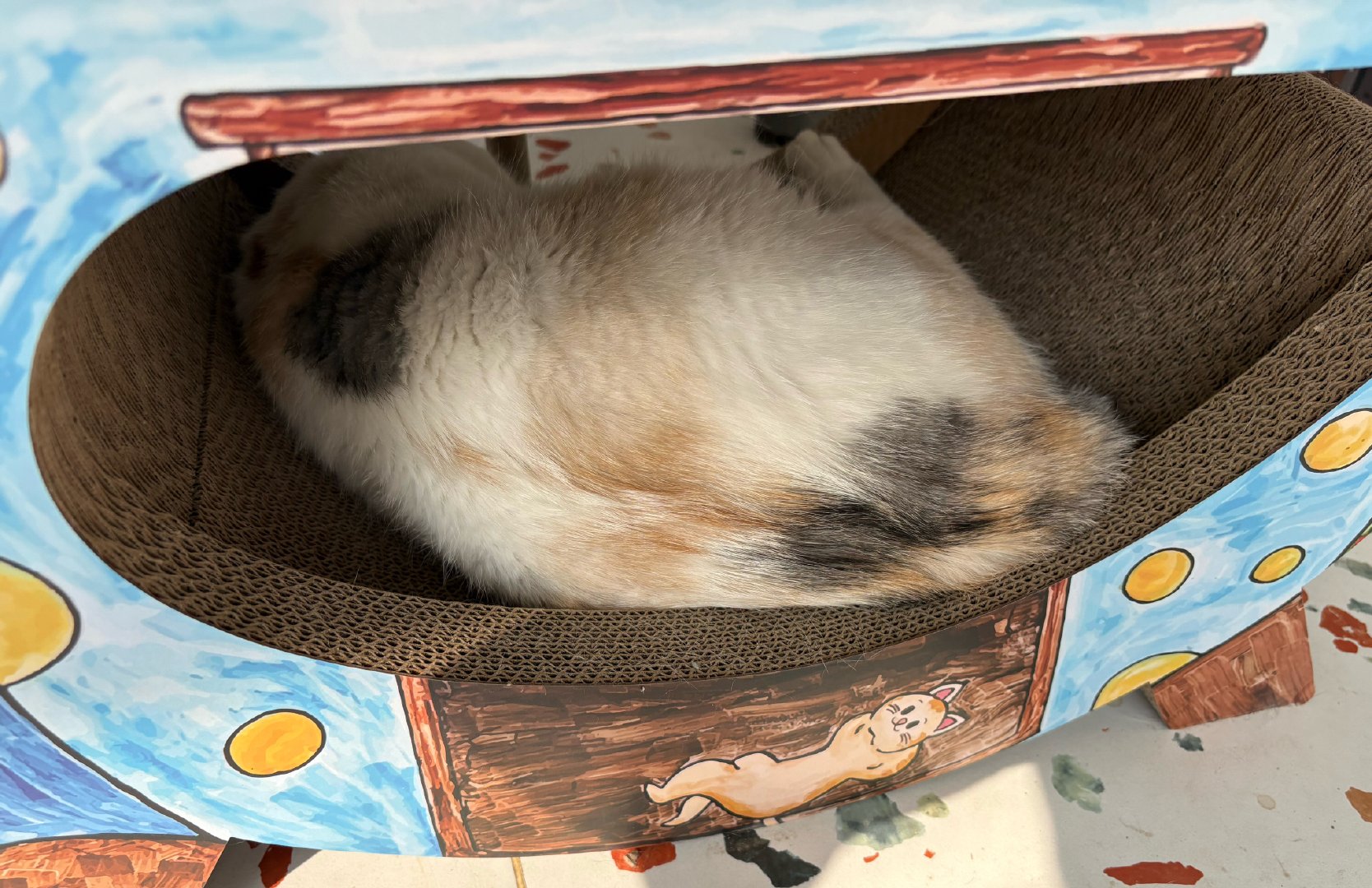 我的花园我的猫 两个多月前，她在寒夜里哀嚎，现在，已经是收获了很多很多爱的，随便