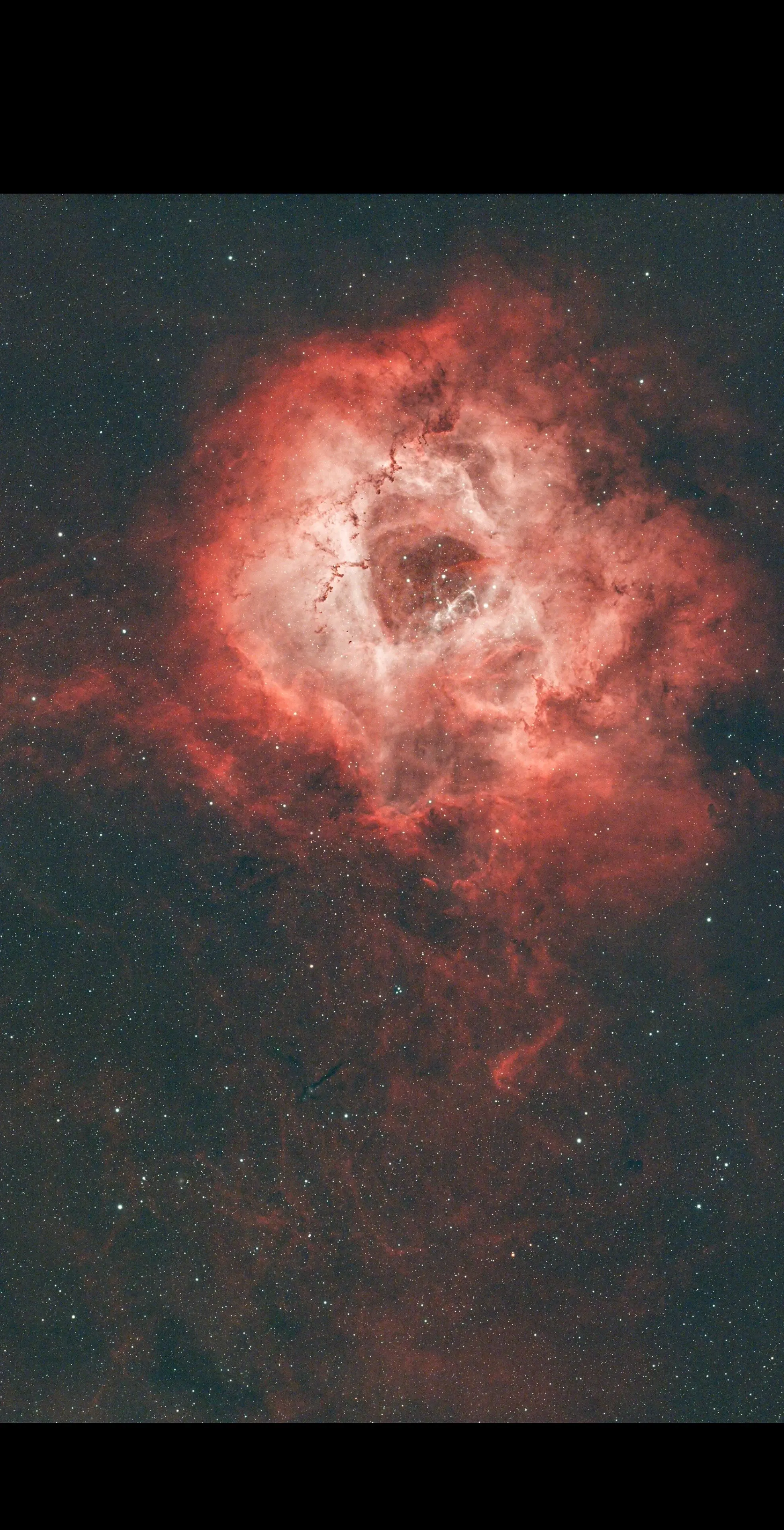 那我把天上的玫瑰照下来送给你。如果你也喜欢星空，那我就把天上的那朵玫瑰...