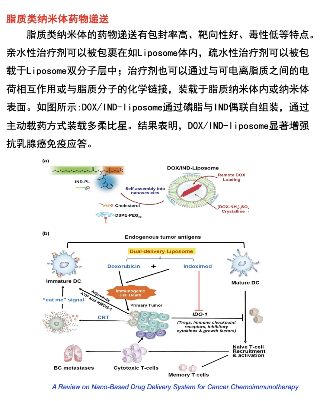 🌟🌟🌟关于脂质纳米体药物递送～