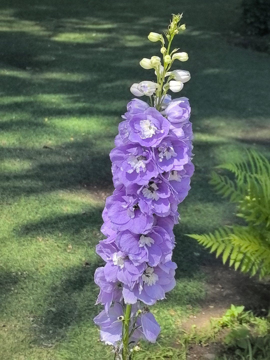 与花海赴约，风很温柔，花很浪漫，目光所及皆是美好🌼🌸🌺🌻🌷🌹🏵️ 