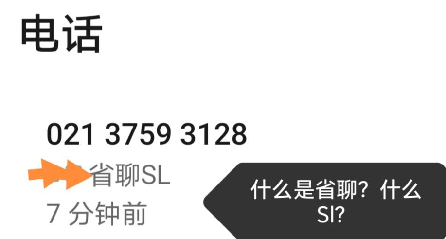 什么是省聊？什么是SL？
        昨天接了个上海电话，由于匆忙，没有看这