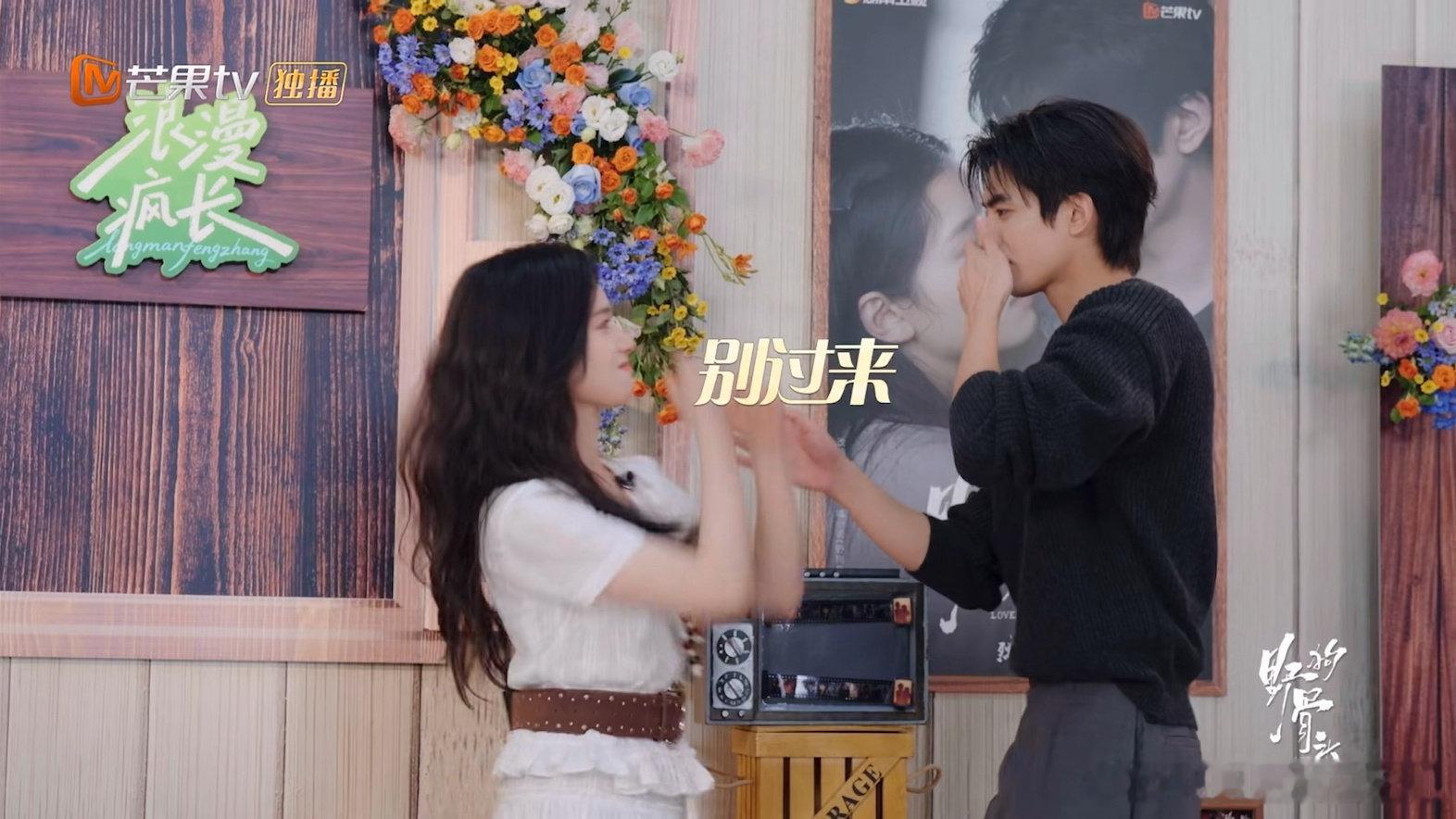 宋威龙张婧仪20s憋笑劲舞挑战野狗骨头磕晕了  野狗骨头磕晕了，宋威龙张婧仪20